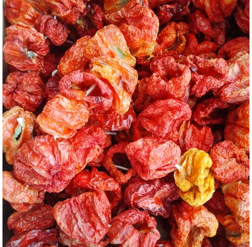 Kuru Dolmalık Biber