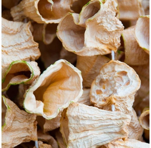 Kuru Dolmalık Kabak